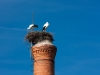 Stoerche-von_Lagos-18.jpg