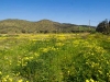 Frühling in Griechenland