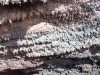 Highlights Lanzarote: Timanfaya