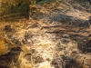 Highlights Lanzarote: Timanfaya